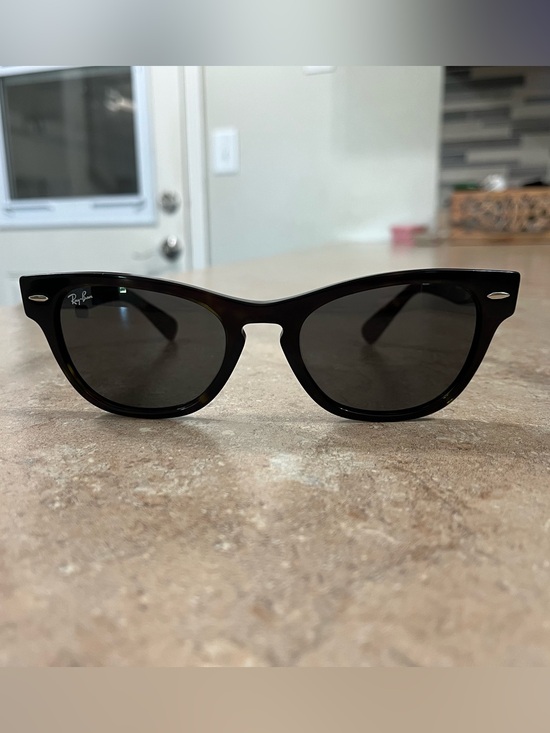 Ray-Ban Accessories - Ray-Ban Laramie tortoise sunglasses